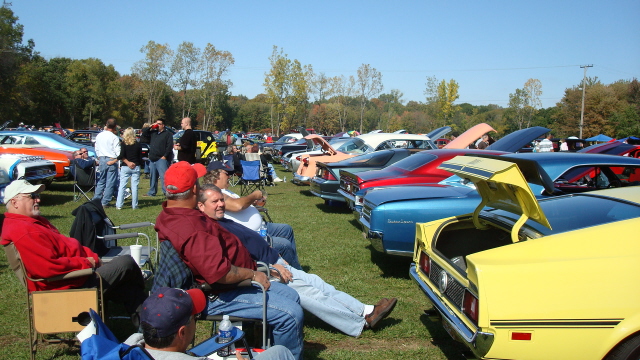 ShelbyLions_015.JPG