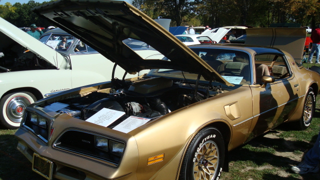 ShelbyLions_025.JPG