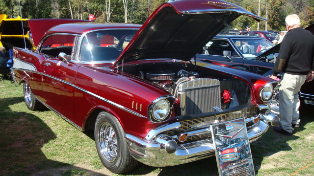 ShelbyLions_033.JPG