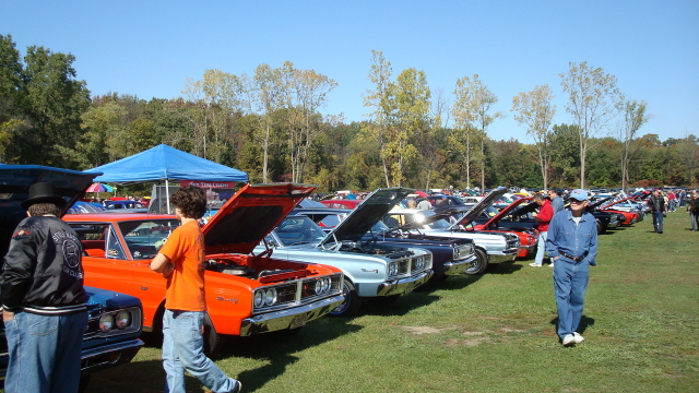 ShelbyLions_039.JPG