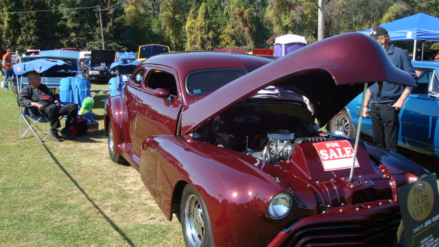 ShelbyLions_042.JPG
