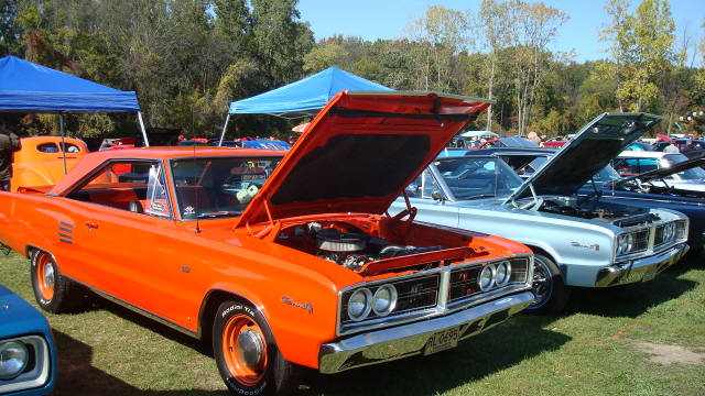 ShelbyLions_045.JPG