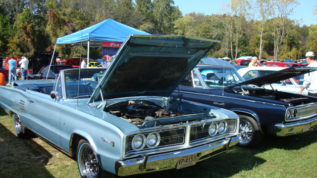 ShelbyLions_048.JPG