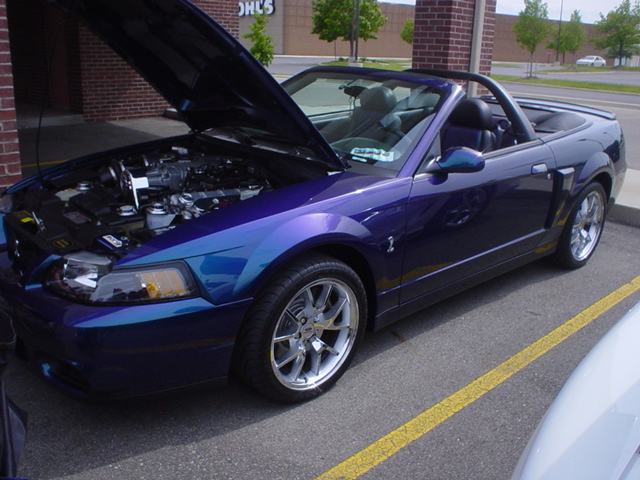 52608_025.JPG