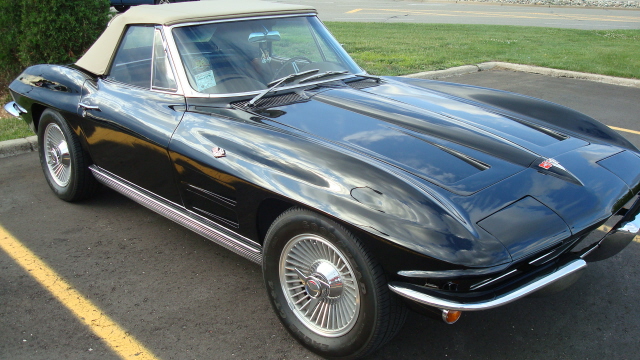 6168_017.JPG