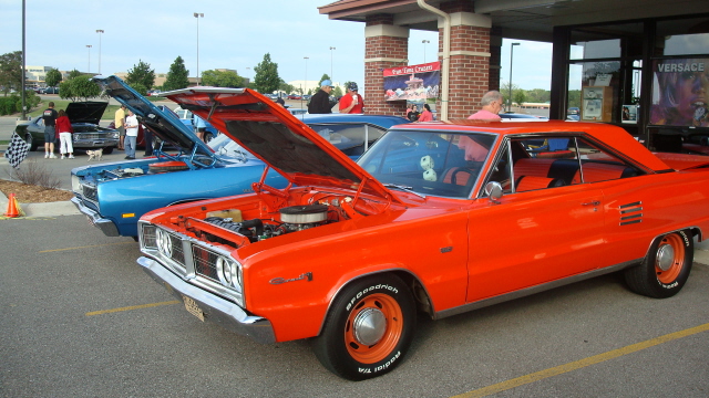 6168_041.JPG