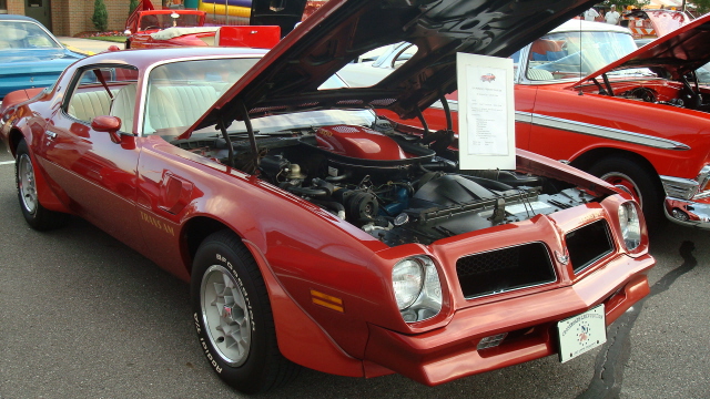 SI08_050.JPG