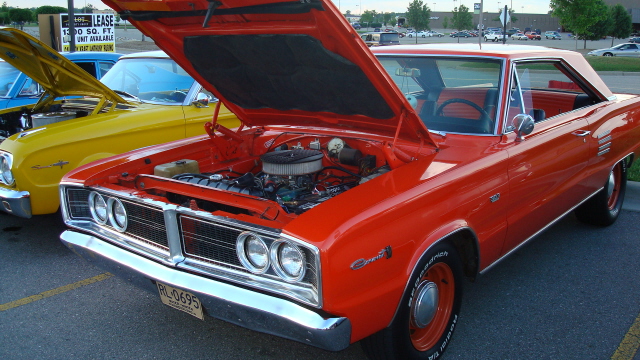 6238_054.JPG