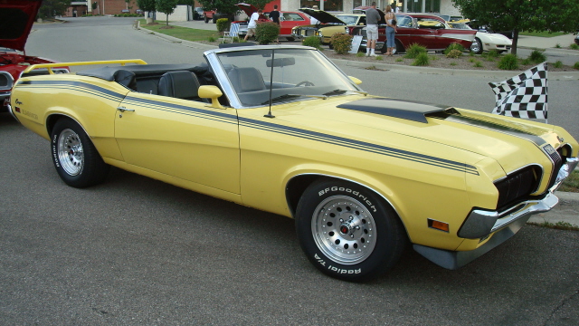 7298_031.JPG