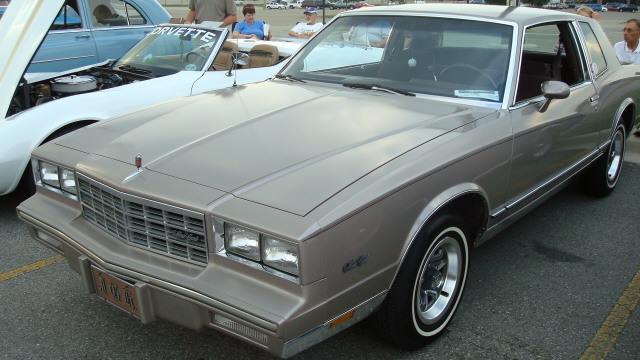 7298_046.JPG