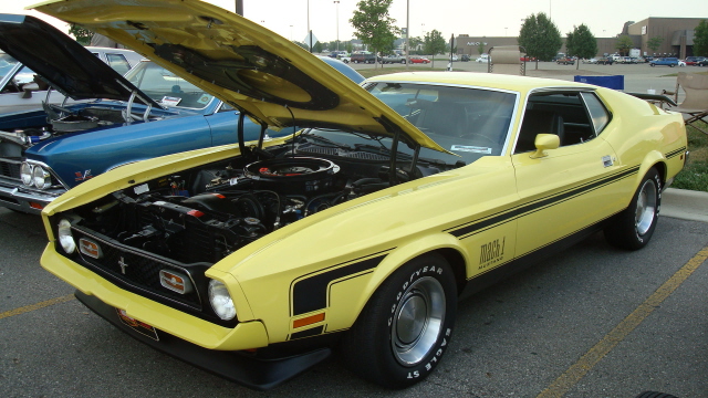 7298_050.JPG