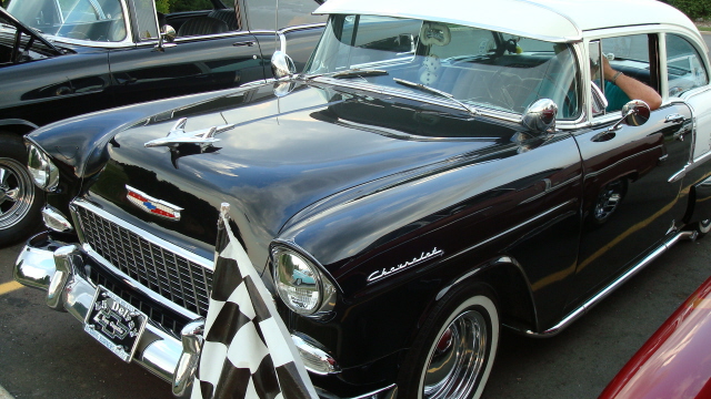 7298_065.JPG