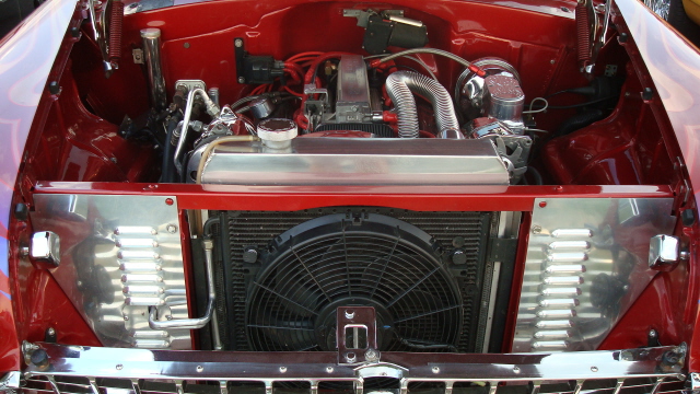 7298_066.JPG