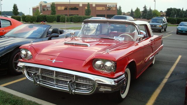 7298_072.JPG
