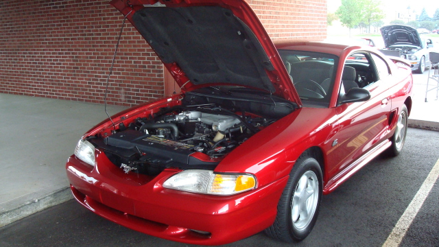 7298_083.JPG