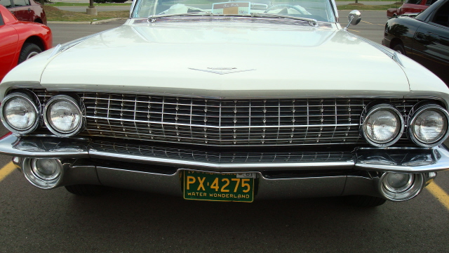 7298_100.JPG