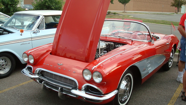 7298_115.JPG