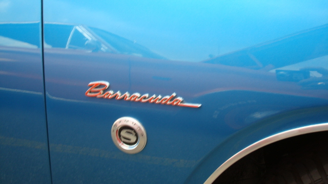 7298_126.JPG