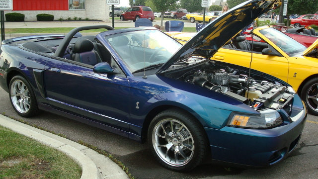 7298_135.JPG