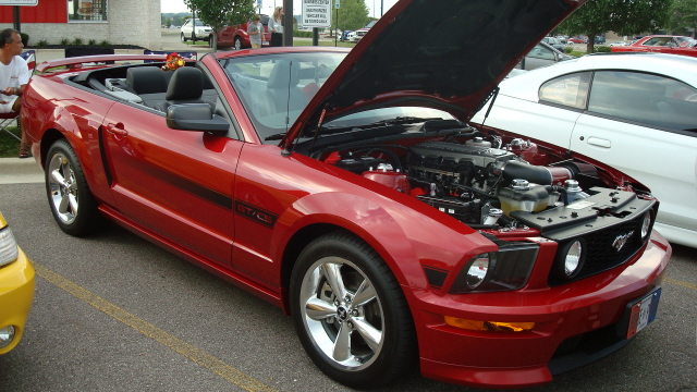 7298_137.JPG