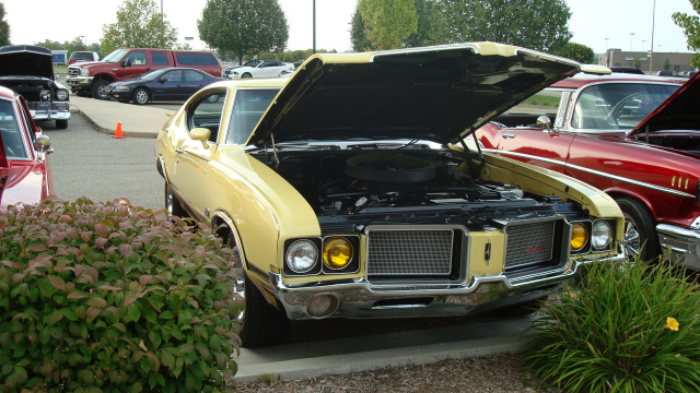 7298_158.JPG