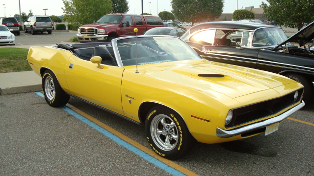 7298_162.JPG