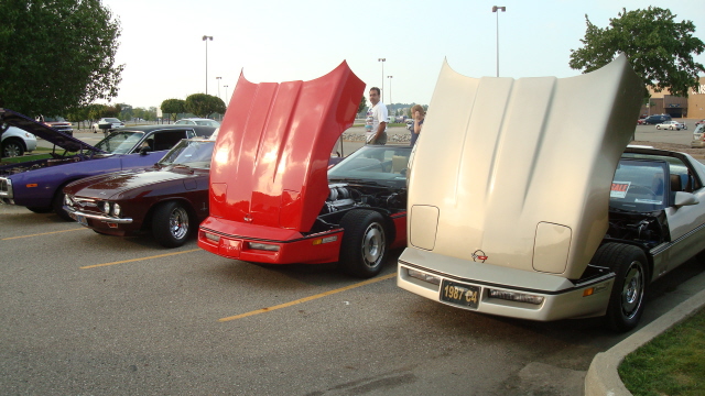 7298_169.JPG