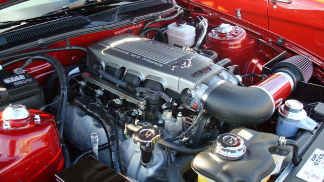 7148_046.JPG