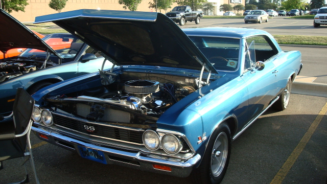 7148_061.JPG