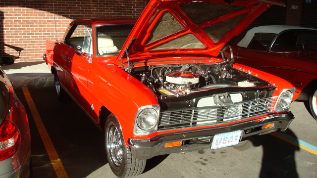 7148_075.JPG