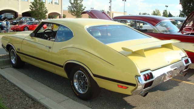 8118_055.JPG