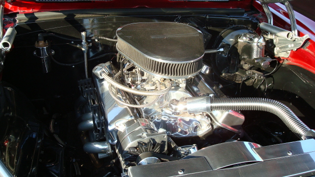 8118_075.JPG