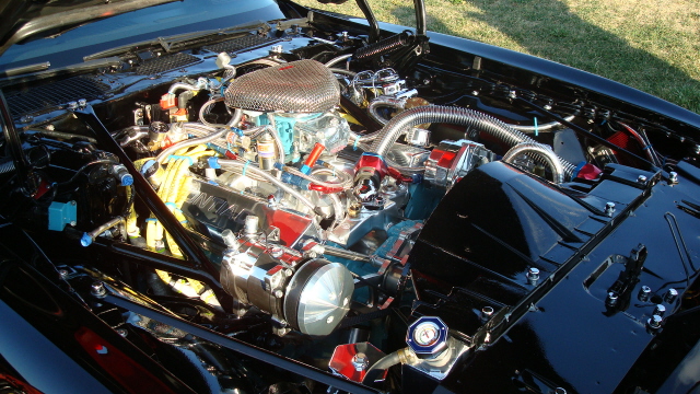 8118_115.JPG