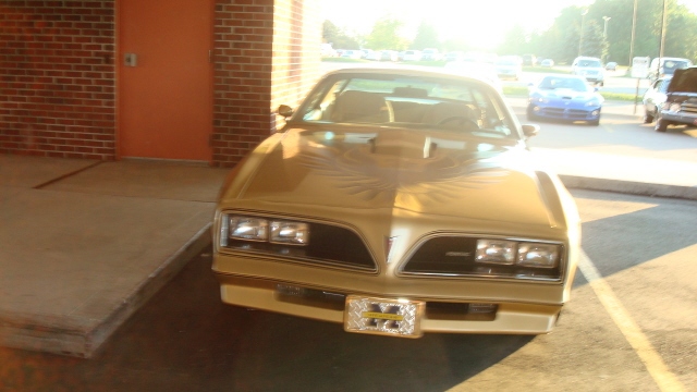 8188_086.JPG