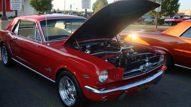 8188_116.JPG