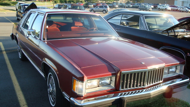 8258_043.JPG