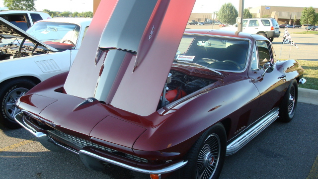 8258_073.JPG