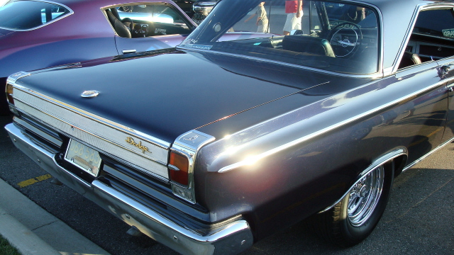 8258_088.JPG