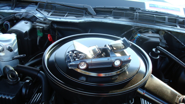 8258_120.JPG