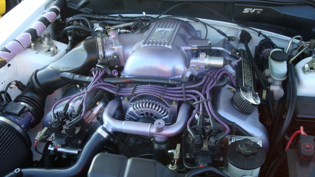 8258_125.JPG