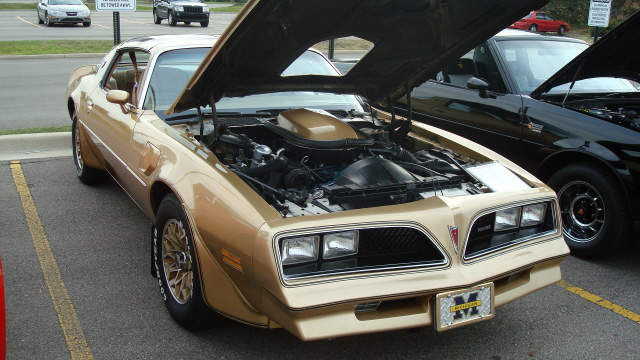 8048_044.JPG