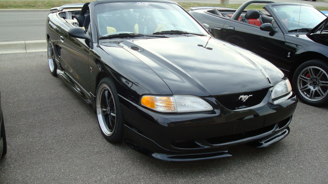 8048_051.JPG