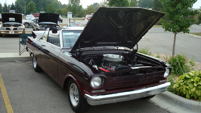 8048_062.JPG