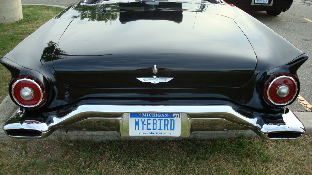 8048_131.JPG