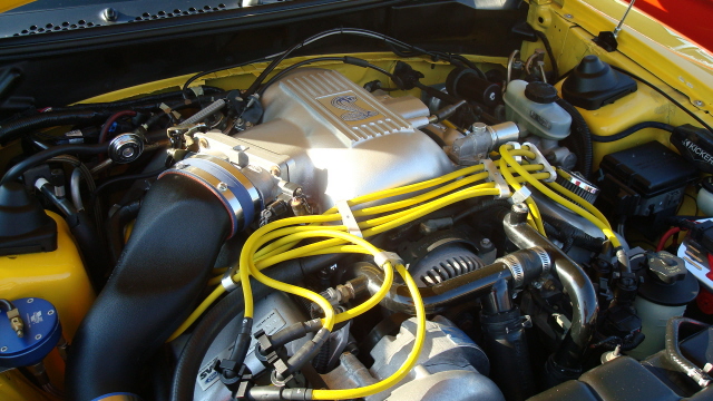 9208_041.JPG