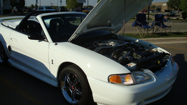 9208_044.JPG