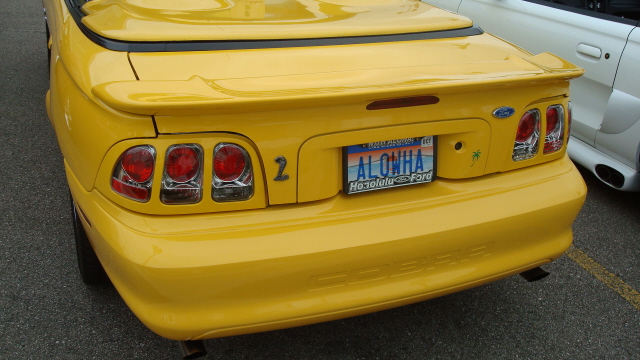 91508_027.JPG