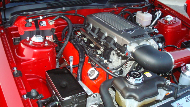92208_067.JPG