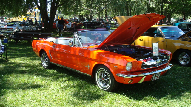 7138 BP_103.JPG