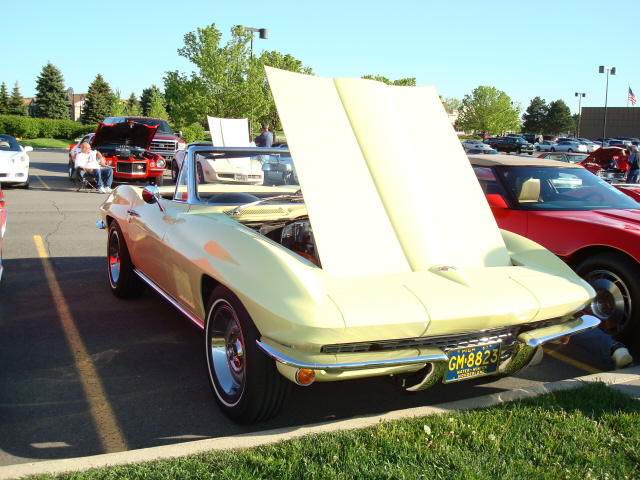 5189_058.JPG